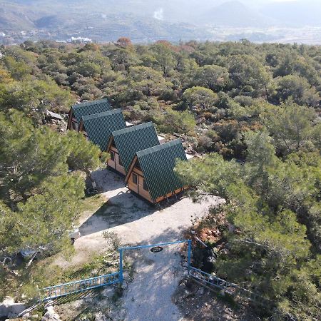 Patara Bungalov Houses 1 Kaş Extérieur photo